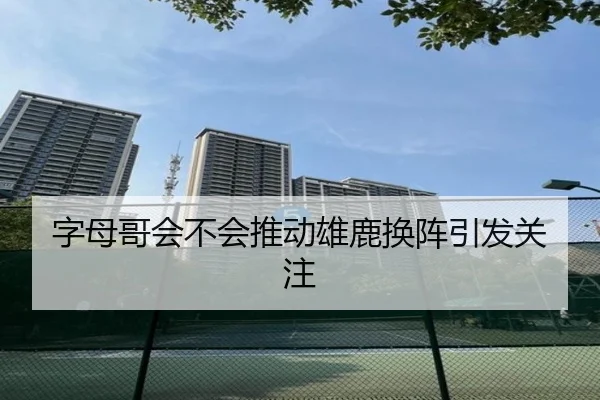 字母哥会不会推动雄鹿换阵引发关注