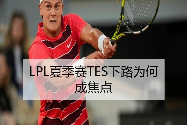 LPL夏季赛TES下路为何成焦点