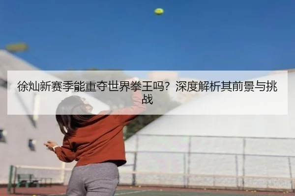 徐灿新赛季能重夺世界拳王吗？深度解析其前景与挑战