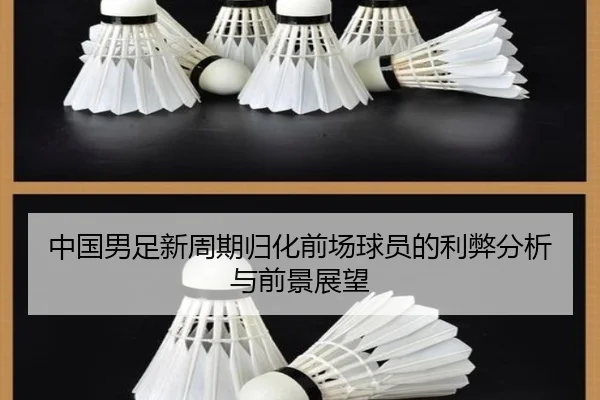中国男足新周期归化前场球员的利弊分析与前景展望